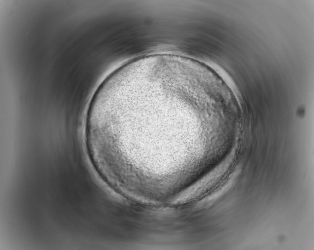 X0000103270957200809191739