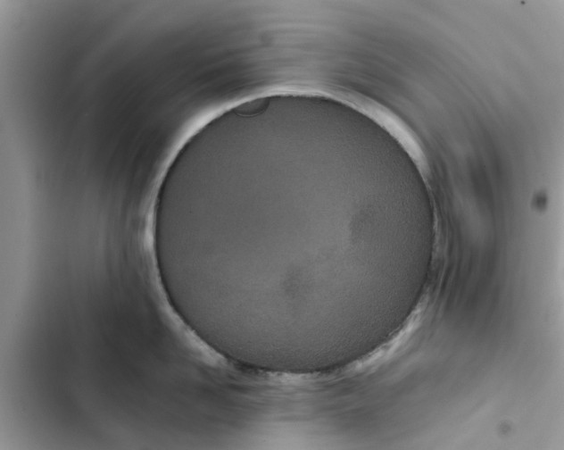 X0000103270958200809191739