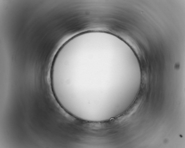 X0000103270959200809191739