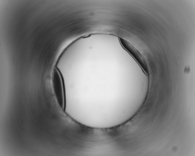 X0000103270960200809191739