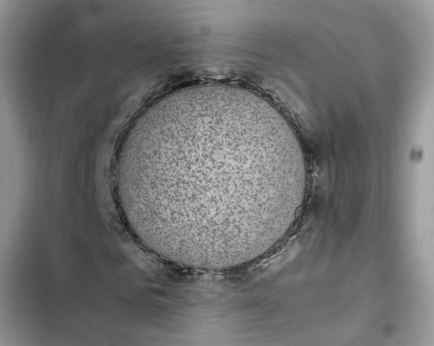 X0000103270961200809191738