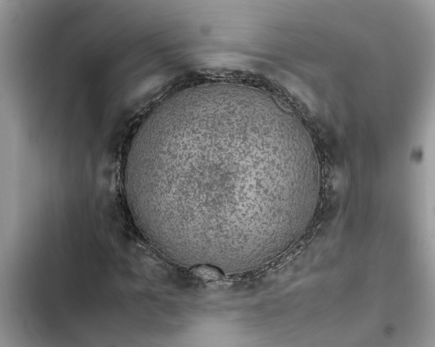 X0000103270965200809191738
