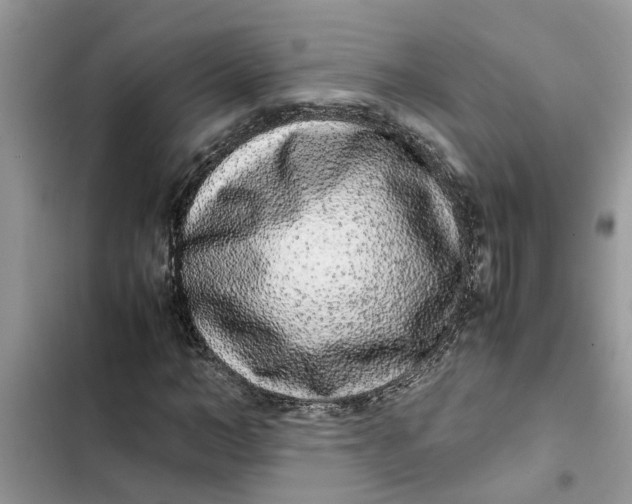 X0000103270966200809191738