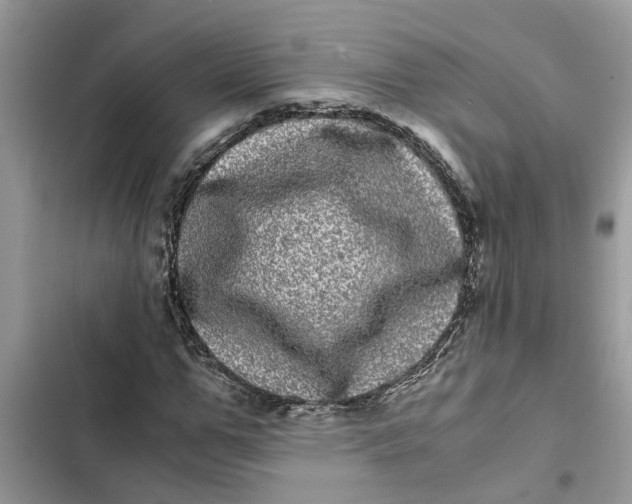 X0000103270967200809191738