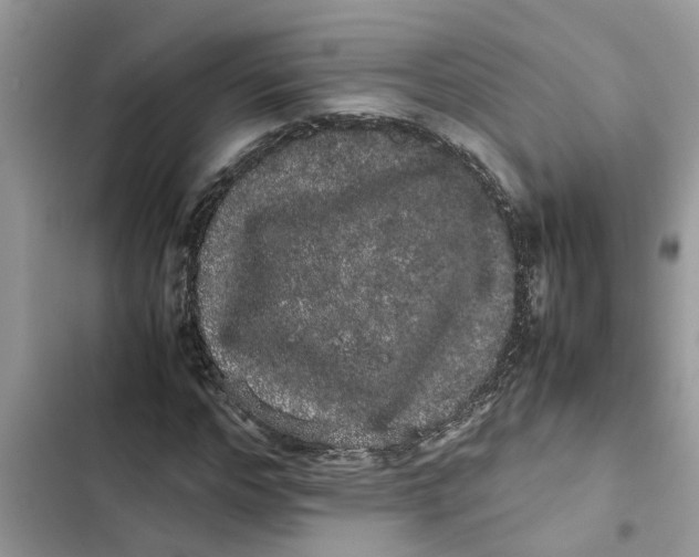 X0000103270968200809191738