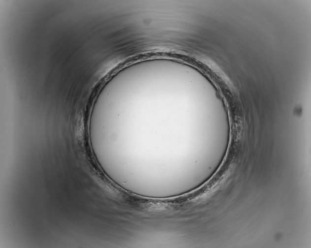X0000103270969200809191738