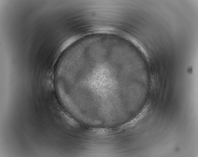 X0000103270970200809191738