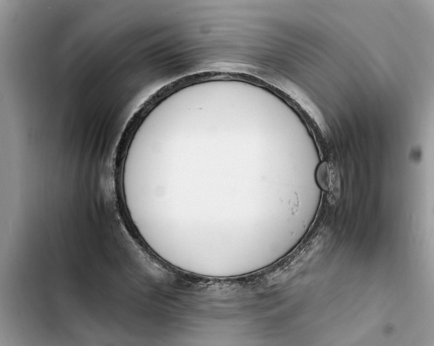 X0000103270972200809191738