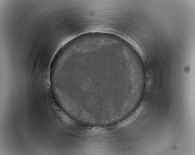 X0000103270974200809191738