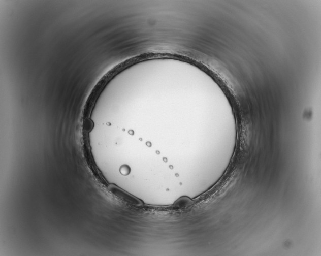 X0000103270976200809191738