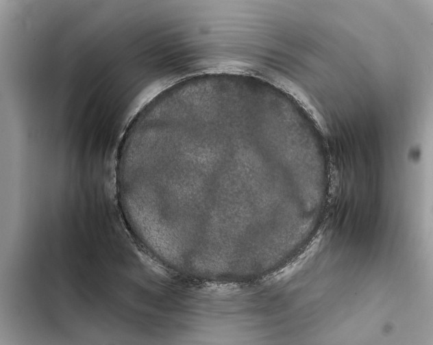 X0000103270978200809191738