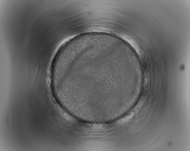 X0000103270979200809191738