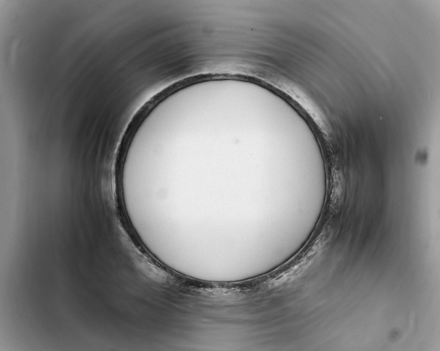 X0000103270980200809191738