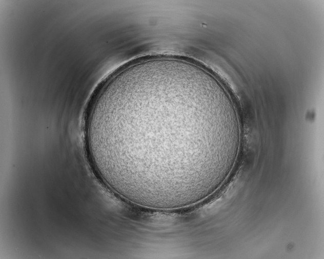 X0000103270981200809191738