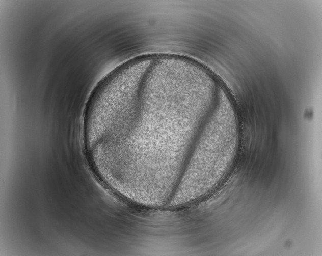 X0000103270982200809191738