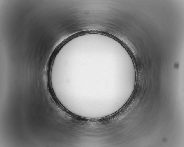 X0000103270983200809191738