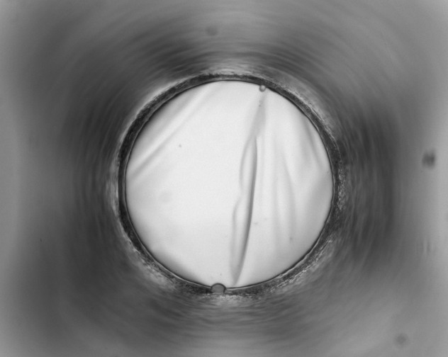 X0000103270984200809191738
