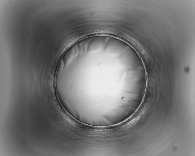 X0000103270985200809191738