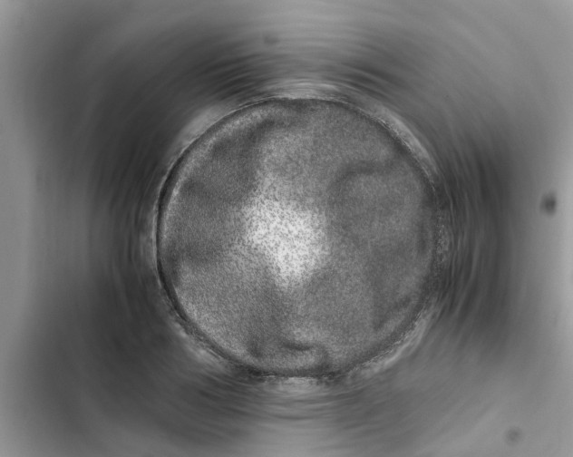 X0000103270986200809191738