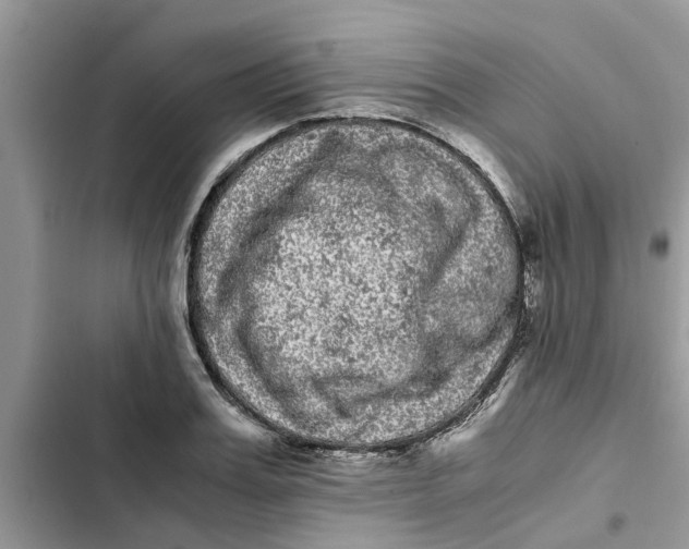 X0000103270987200809191738