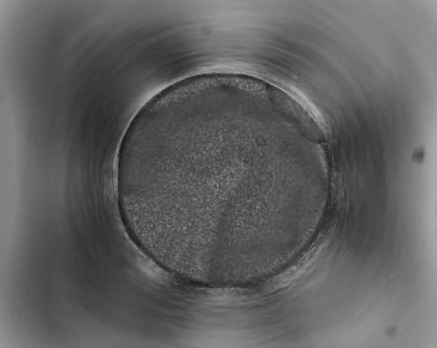 X0000103270988200809191738