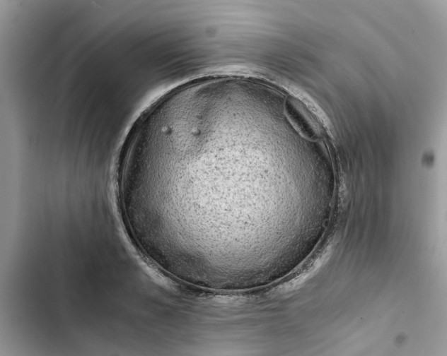 X0000103270989200809191738