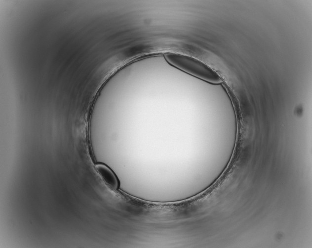 X0000103270993200809191738
