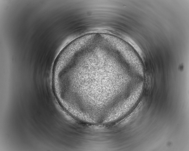 X0000103270994200809191738
