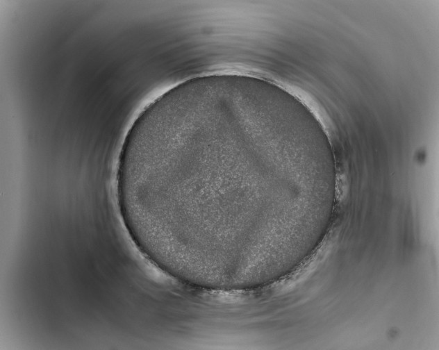 X0000103270995200809191738