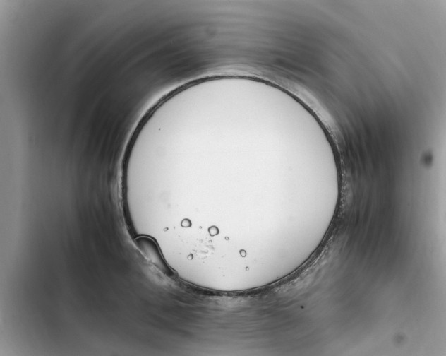 X0000103270996200809191738