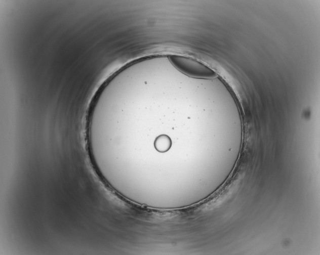 X0000103270997200809191738