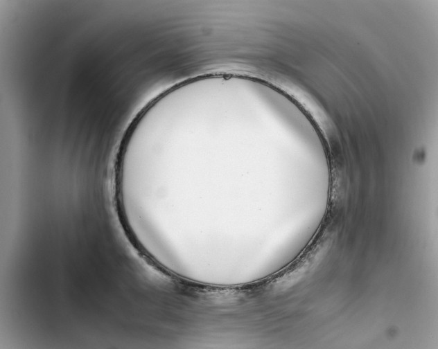 X0000103270999200809191738