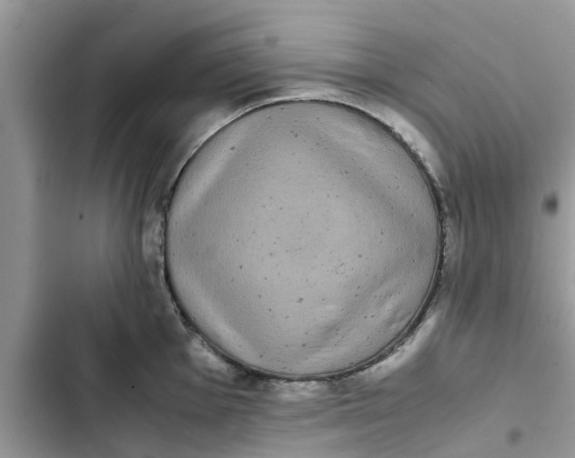 X0000103271001200809191738