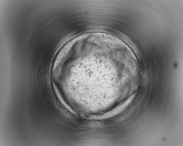 X0000103271002200809191738