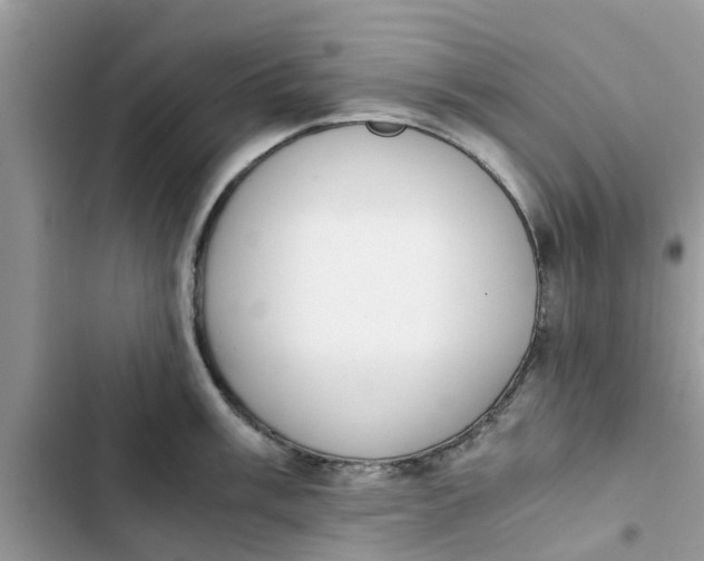 X0000103271003200809191738
