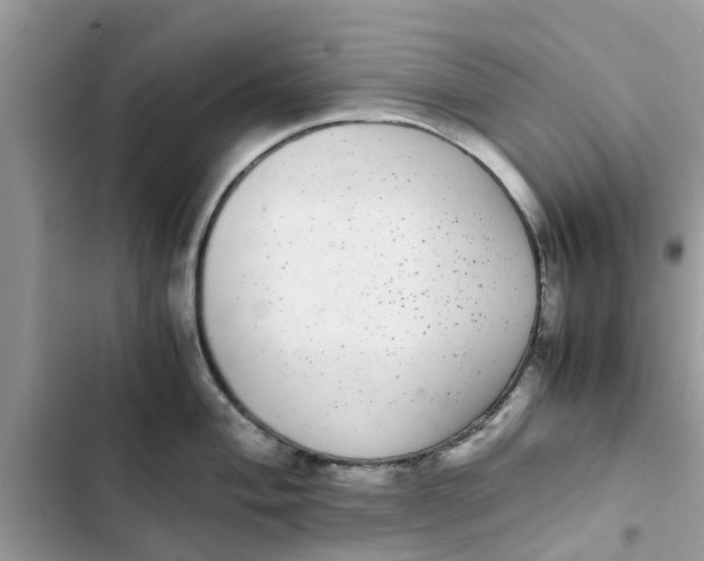 X0000103271004200809191738