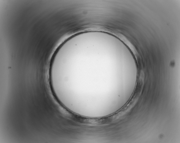 X0000103271005200809191738