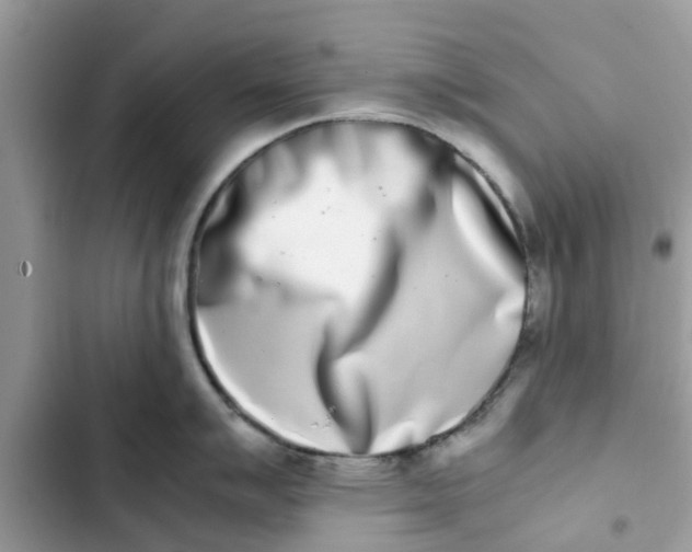 X0000103271007200809191738