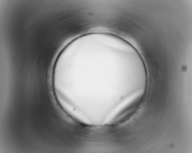 X0000103271008200809191738