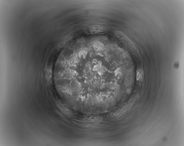 X0000103271011200809191737