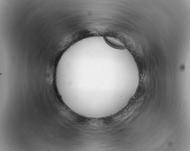 X0000103271012200809191737