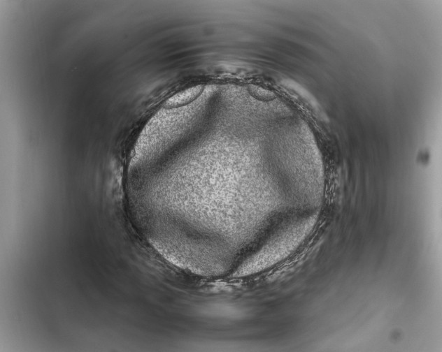 X0000103271013200809191737