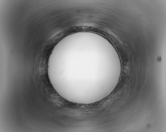 X0000103271014200809191737