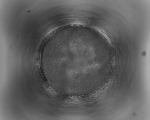 X0000103271015200809191737