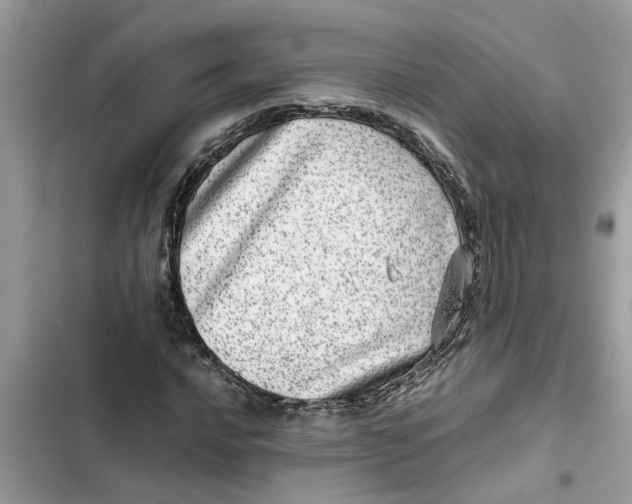 X0000103271016200809191737