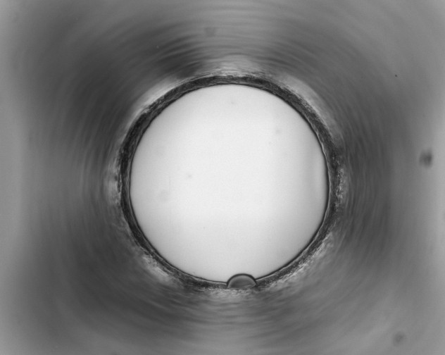 X0000103271018200809191737