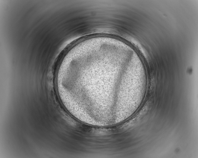 X0000103271019200809191737