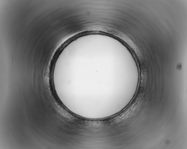 X0000103271020200809191737
