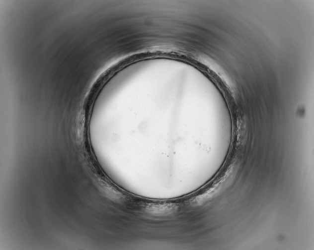 X0000103271021200809191737