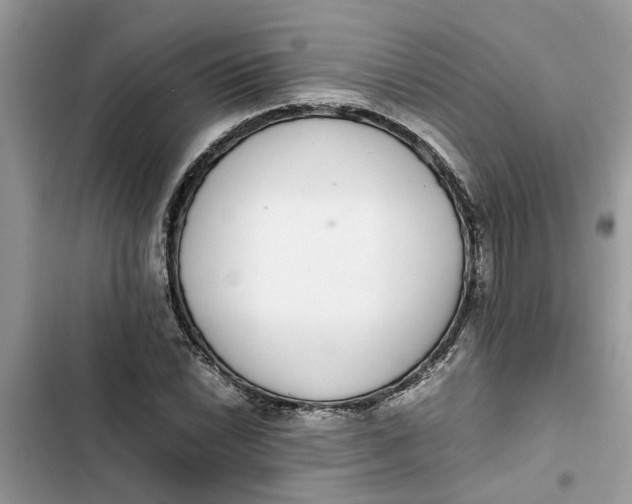 X0000103271022200809191737